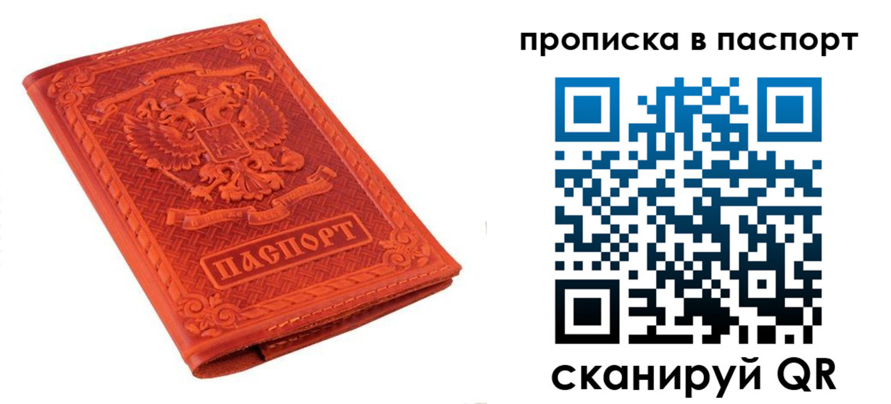 прописка законно в Волгограде